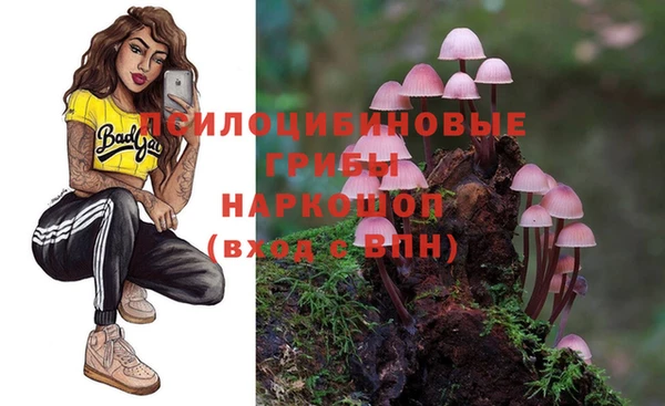 индика Алексеевка